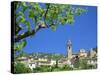 Valldemossa, Mallorca, Balearic Islands, Spain-Christian Kober-Stretched Canvas