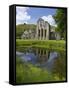 Valle Crucis, Ruined Cistercian Abbey, in Llantysilio, Near Llangollen, Denbighshire, Wales, Uk-Peter Barritt-Framed Stretched Canvas