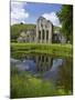 Valle Crucis, Ruined Cistercian Abbey, in Llantysilio, Near Llangollen, Denbighshire, Wales, Uk-Peter Barritt-Mounted Photographic Print