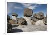 Valle de los Hongos (Mushroom Rocks) formed of volcanic ash, Creel, Chihuahua, Mexico, North Americ-Tony Waltham-Framed Photographic Print