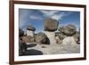 Valle de los Hongos (Mushroom Rocks) formed of volcanic ash, Creel, Chihuahua, Mexico, North Americ-Tony Waltham-Framed Photographic Print