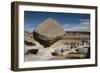 Valle de los Hongos (Mushroom Rocks) formed of volcanic ash, Creel, Chihuahua, Mexico, North Americ-Tony Waltham-Framed Photographic Print