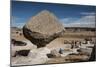 Valle de los Hongos (Mushroom Rocks) formed of volcanic ash, Creel, Chihuahua, Mexico, North Americ-Tony Waltham-Mounted Photographic Print