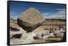 Valle de los Hongos (Mushroom Rocks) formed of volcanic ash, Creel, Chihuahua, Mexico, North Americ-Tony Waltham-Framed Stretched Canvas