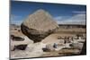 Valle de los Hongos (Mushroom Rocks) formed of volcanic ash, Creel, Chihuahua, Mexico, North Americ-Tony Waltham-Mounted Photographic Print