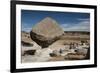 Valle de los Hongos (Mushroom Rocks) formed of volcanic ash, Creel, Chihuahua, Mexico, North Americ-Tony Waltham-Framed Photographic Print