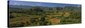 Valle de Vinales, Pinar del Rio, Cuba-null-Stretched Canvas
