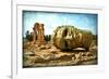 Valle Dei Templi, Agrigento, Sicily-lachris77-Framed Photographic Print