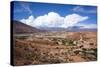 Valle Tin Tin, Los Cardones Park, Argentina-Peter Groenendijk-Stretched Canvas