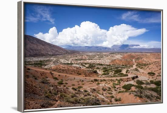 Valle Tin Tin, Los Cardones Park, Argentina-Peter Groenendijk-Framed Photographic Print