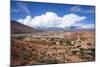 Valle Tin Tin, Los Cardones Park, Argentina-Peter Groenendijk-Mounted Photographic Print