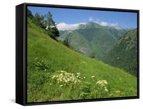 Vallee D'Aspe, Bearn, Pyrenees Atlantique, Aquitaine, France, Europe-David Hughes-Framed Stretched Canvas