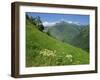 Vallee D'Aspe, Bearn, Pyrenees Atlantique, Aquitaine, France, Europe-David Hughes-Framed Photographic Print