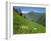 Vallee D'Aspe, Bearn, Pyrenees Atlantique, Aquitaine, France, Europe-David Hughes-Framed Photographic Print