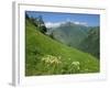 Vallee D'Aspe, Bearn, Pyrenees Atlantique, Aquitaine, France, Europe-David Hughes-Framed Photographic Print