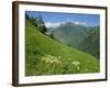 Vallee D'Aspe, Bearn, Pyrenees Atlantique, Aquitaine, France, Europe-David Hughes-Framed Photographic Print