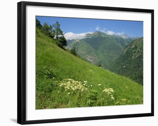 Vallee D'Aspe, Bearn, Pyrenees Atlantique, Aquitaine, France, Europe-David Hughes-Framed Photographic Print