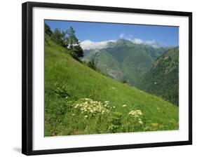 Vallee D'Aspe, Bearn, Pyrenees Atlantique, Aquitaine, France, Europe-David Hughes-Framed Photographic Print