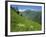 Vallee D'Aspe, Bearn, Pyrenees Atlantique, Aquitaine, France, Europe-David Hughes-Framed Photographic Print