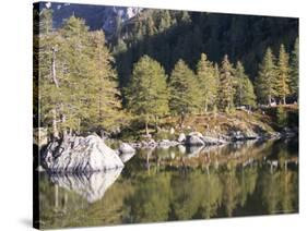 Vallee De Fontanalba, Pays Merveilles, Mercantour National Park, Alpes Maritimes, Provence, France-Bruno Barbier-Stretched Canvas