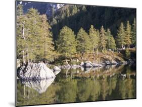 Vallee De Fontanalba, Pays Merveilles, Mercantour National Park, Alpes Maritimes, Provence, France-Bruno Barbier-Mounted Photographic Print