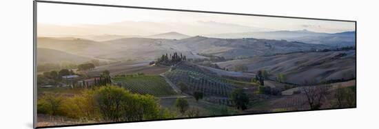 Valley at Sunrise, Val D'Orcia, Tuscany, Italy-null-Mounted Photographic Print