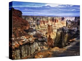 Valley Beauty III-David Drost-Stretched Canvas