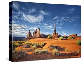 Valley Beauty V-David Drost-Stretched Canvas