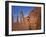 Valley Beauty VI-David Drost-Framed Photographic Print