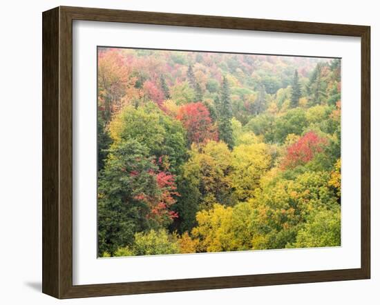 Valley below the Cut River Bridge with Lake Michigan on the Other Side of the Bridge.-Julianne Eggers-Framed Photographic Print