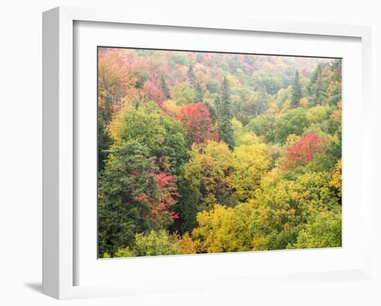 Valley below the Cut River Bridge with Lake Michigan on the Other Side of the Bridge.-Julianne Eggers-Framed Photographic Print