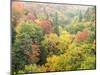 Valley below the Cut River Bridge with Lake Michigan on the Other Side of the Bridge.-Julianne Eggers-Mounted Photographic Print