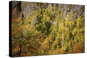 Valley Bottom, Entry Hut 'Hšllentalklamm' (Gorge), Grainau, Upper Bavaria-Frina-Stretched Canvas