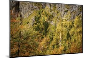 Valley Bottom, Entry Hut 'Hšllentalklamm' (Gorge), Grainau, Upper Bavaria-Frina-Mounted Photographic Print