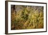 Valley Bottom, Entry Hut 'Hšllentalklamm' (Gorge), Grainau, Upper Bavaria-Frina-Framed Photographic Print