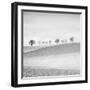 Valley Echo-Hakan Strand-Framed Giclee Print