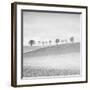 Valley Echo-Hakan Strand-Framed Giclee Print