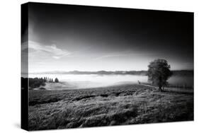 Valley Fog-Aledanda-Stretched Canvas
