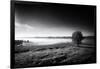 Valley Fog-Aledanda-Framed Photographic Print