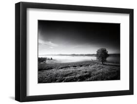 Valley Fog-Aledanda-Framed Photographic Print