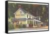 Valley Green Inn, Philadelphia, Pennsylvania-null-Framed Stretched Canvas