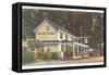 Valley Green Inn, Philadelphia, Pennsylvania-null-Framed Stretched Canvas