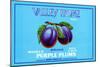 Valley Home Brand Whole Purple Plums-null-Mounted Premium Giclee Print