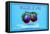 Valley Home Brand Whole Purple Plums-null-Framed Stretched Canvas