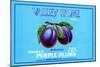 Valley Home Brand Whole Purple Plums-null-Mounted Art Print