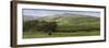 Valley Horses Panoramic-Pete Kelly-Framed Giclee Print