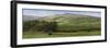 Valley Horses Panoramic-Pete Kelly-Framed Giclee Print