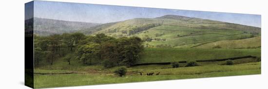Valley Horses Panoramic-Pete Kelly-Stretched Canvas