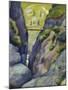 Valley in Tegernse; Schlucht in Tegernse-Auguste Macke-Mounted Giclee Print