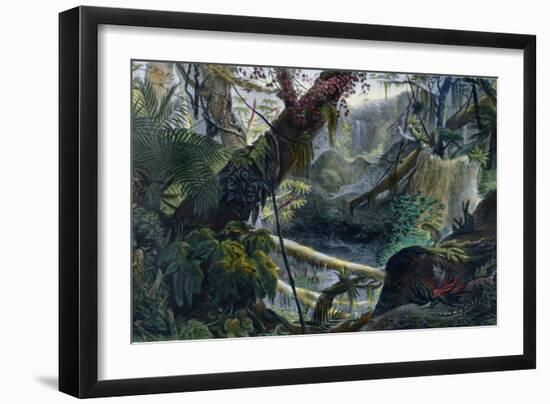 Valley in the Serra Do Mar, Voyage Pittoresque et Historique Au Bresil by Debret-Jean Baptiste Debret-Framed Giclee Print